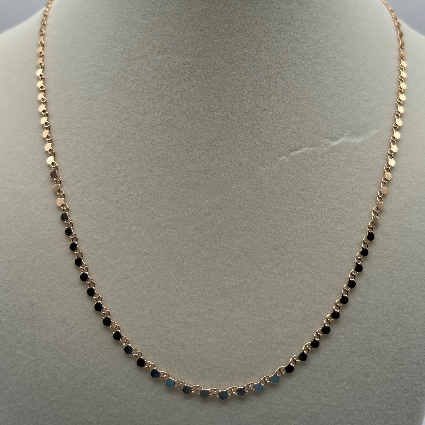 Golden Reflections: The Hammered Link Chain Necklace